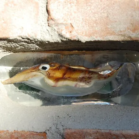 Loft Due Cuori Con Terrazza Apartman Velence